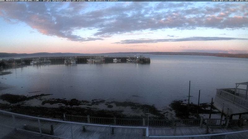 Digby Harbour