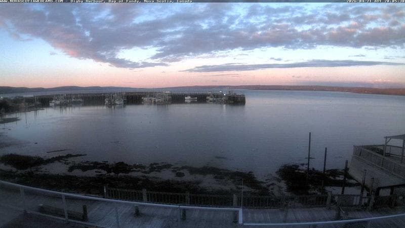 Digby Harbour