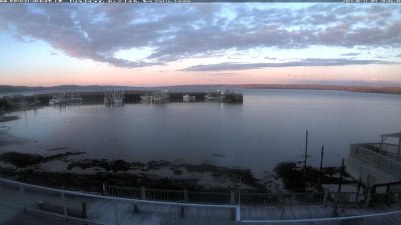 Digby Harbour