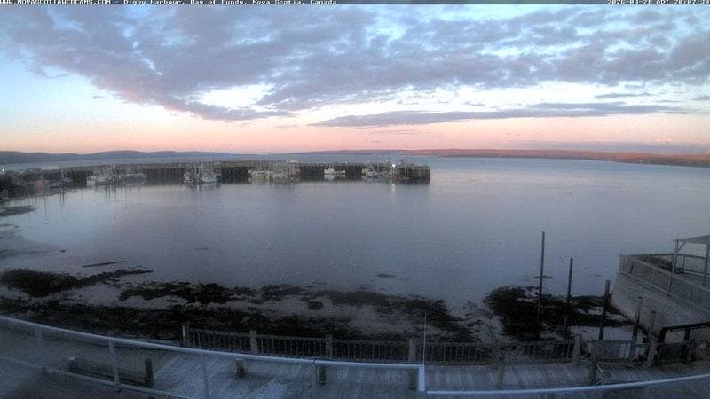 Digby Harbour