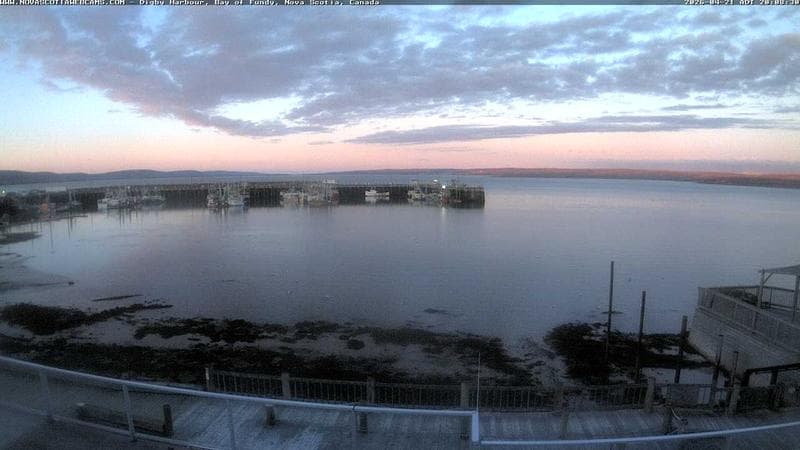 Digby Harbour