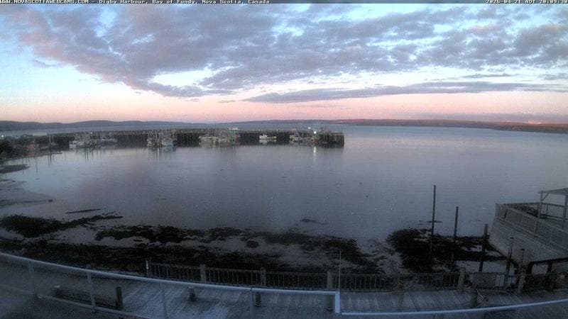 Digby Harbour
