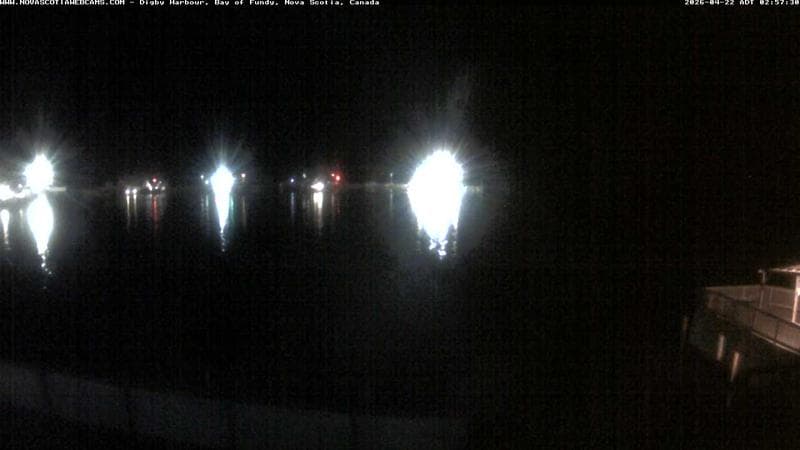 Digby Harbour