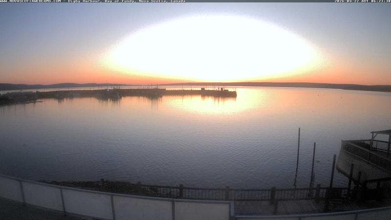 Digby Harbour