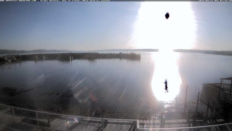 Digby Harbour