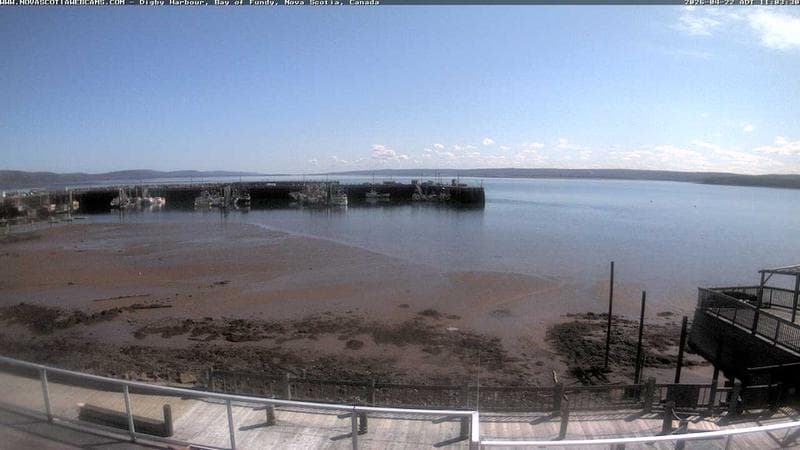 Digby Harbour