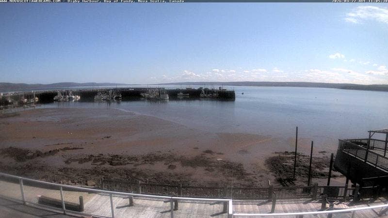Digby Harbour