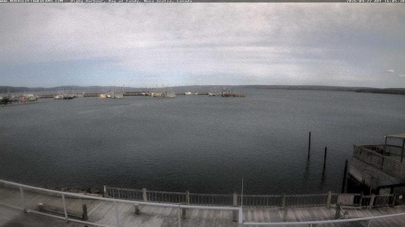 Digby Harbour