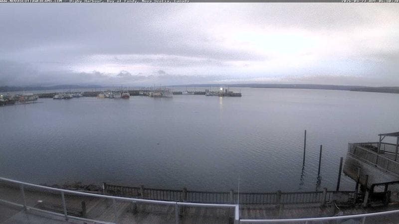 Digby Harbour