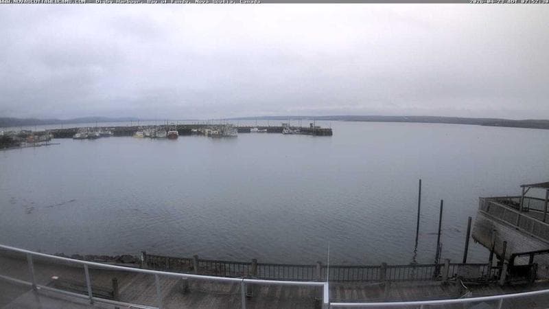 Digby Harbour