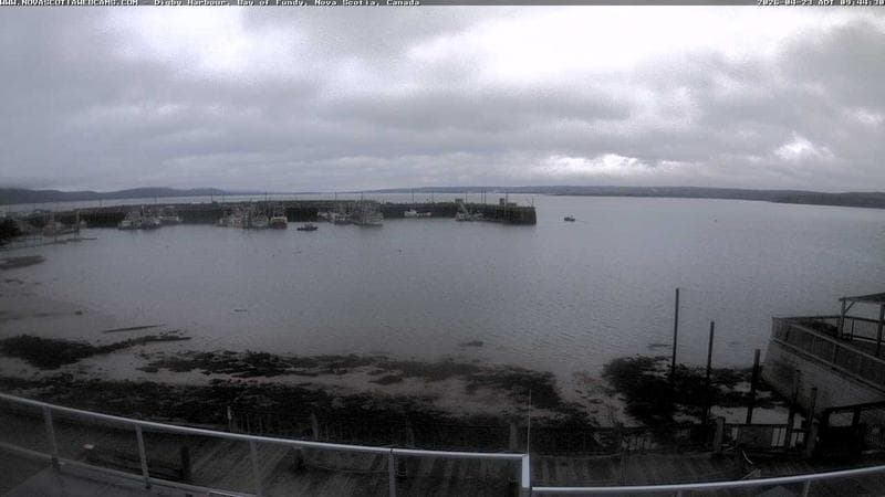 Digby Harbour