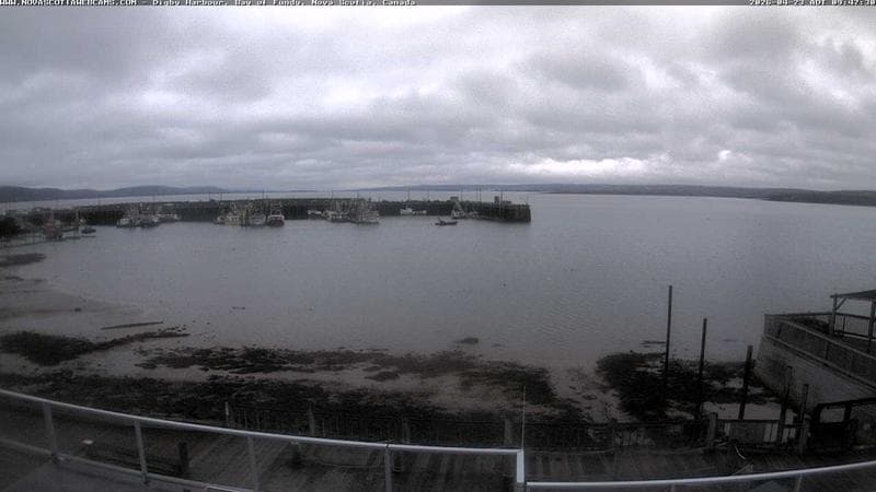 Digby Harbour