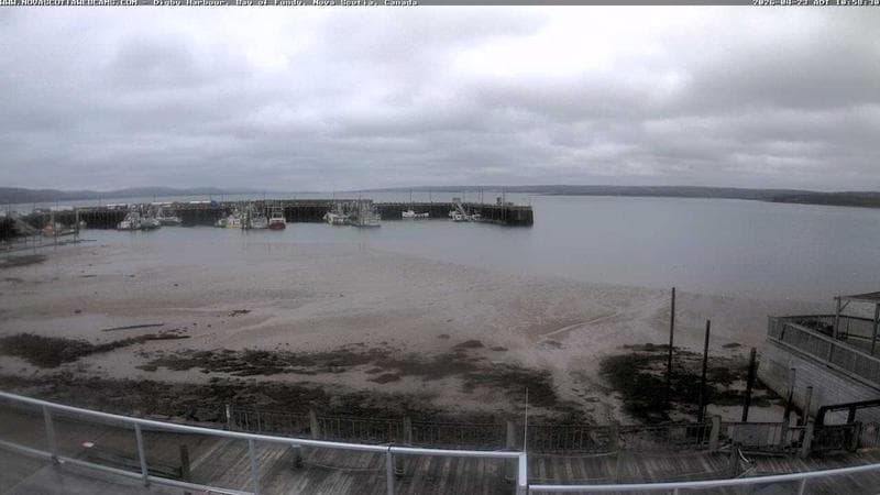 Digby Harbour