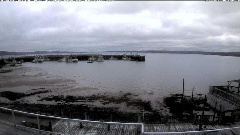 Digby Harbour