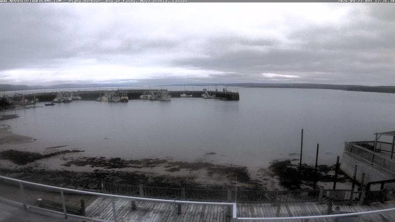 Digby Harbour
