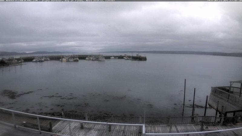 Digby Harbour