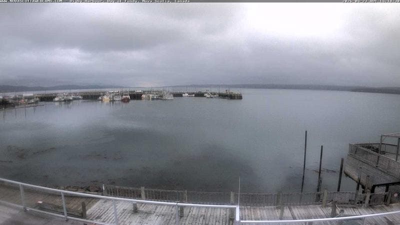 Digby Harbour