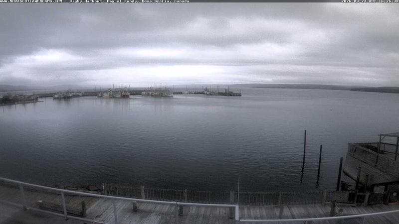 Digby Harbour
