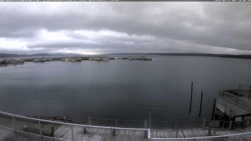 Digby Harbour