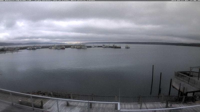 Digby Harbour