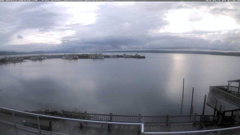Digby Harbour