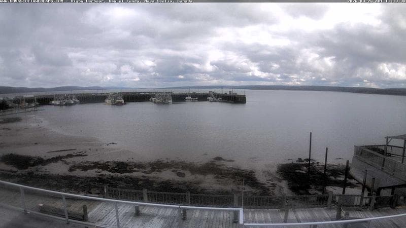Digby Harbour