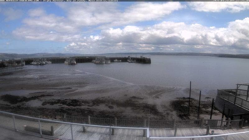 Digby Harbour
