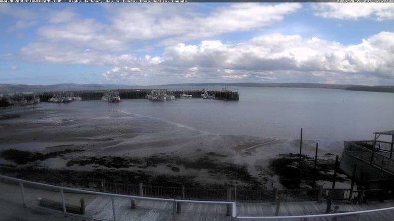 Digby Harbour