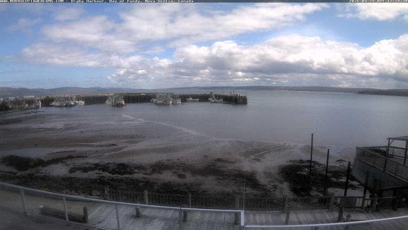 Digby Harbour