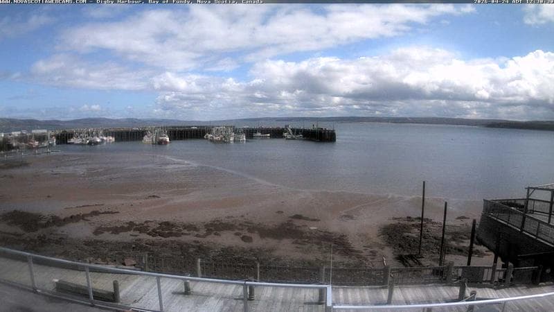 Digby Harbour