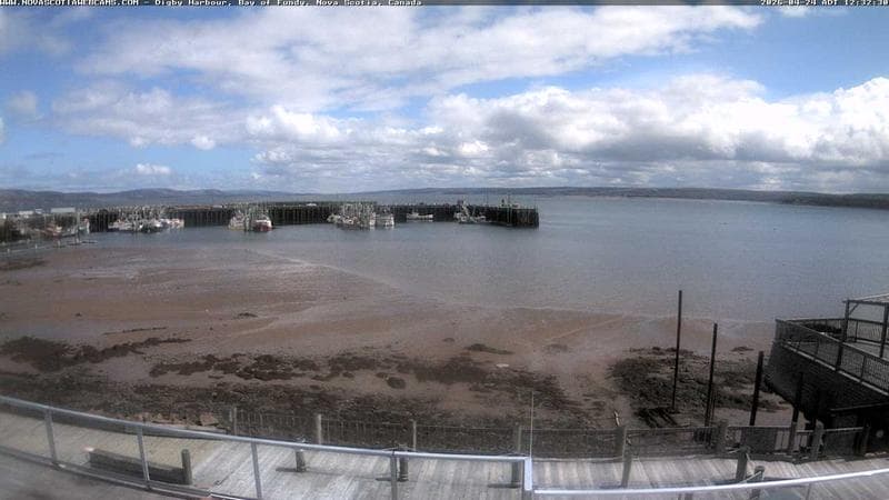 Digby Harbour