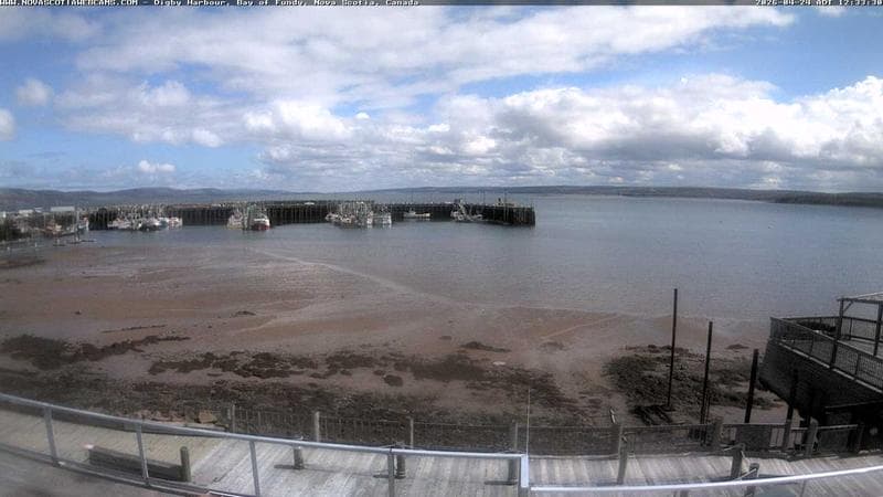 Digby Harbour