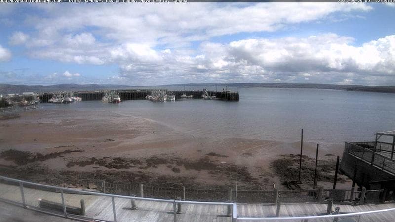 Digby Harbour