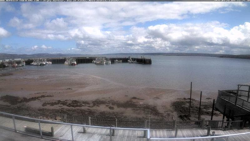 Digby Harbour
