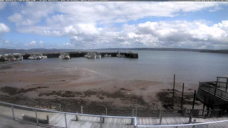Digby Harbour