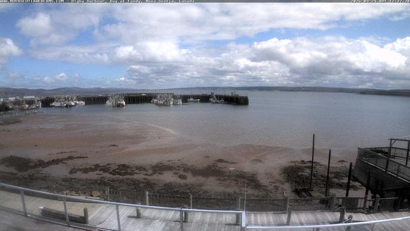 Digby Harbour