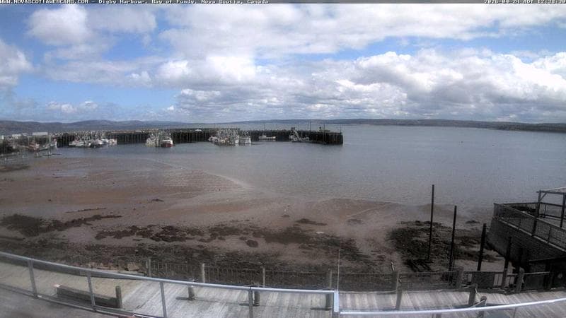 Digby Harbour