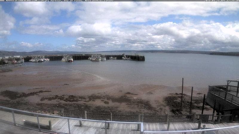 Digby Harbour