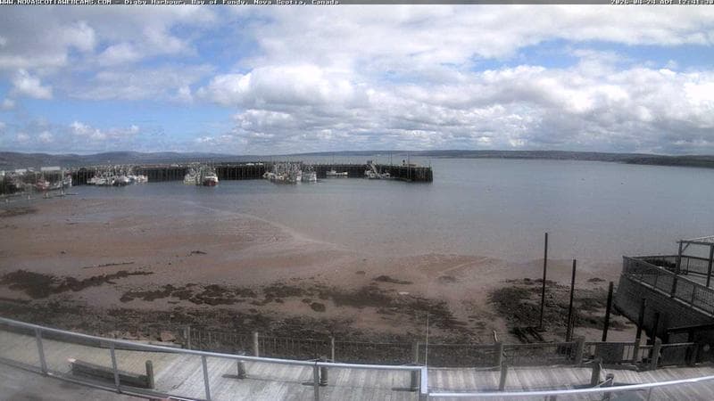Digby Harbour