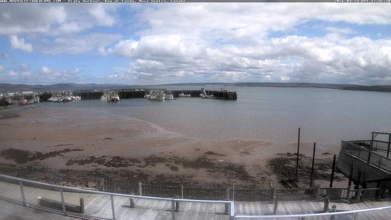 Digby Harbour