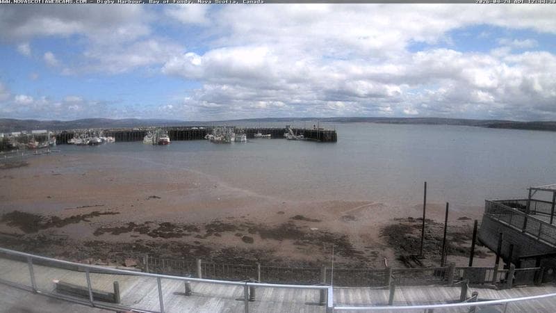 Digby Harbour