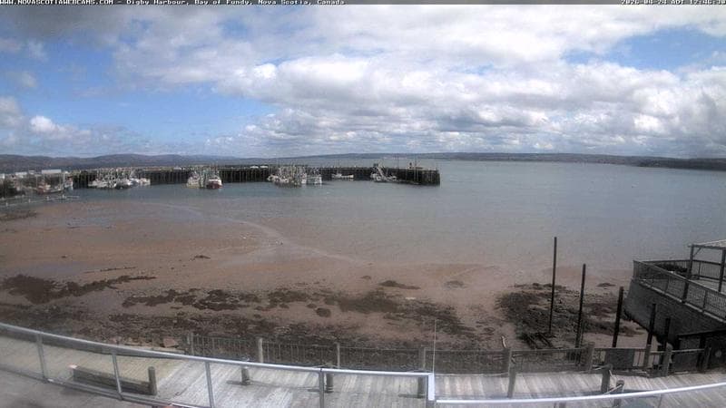 Digby Harbour
