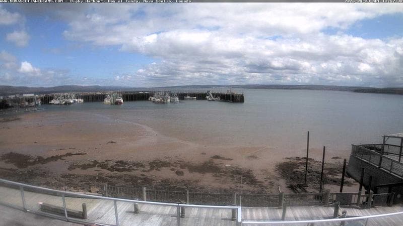 Digby Harbour