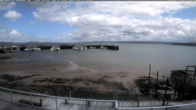 Digby Harbour