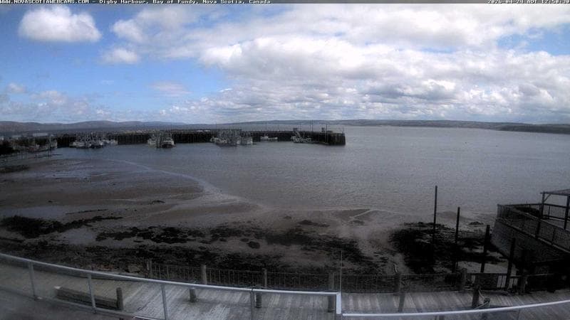 Digby Harbour