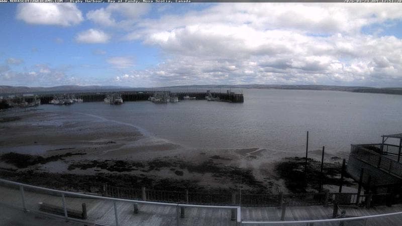 Digby Harbour