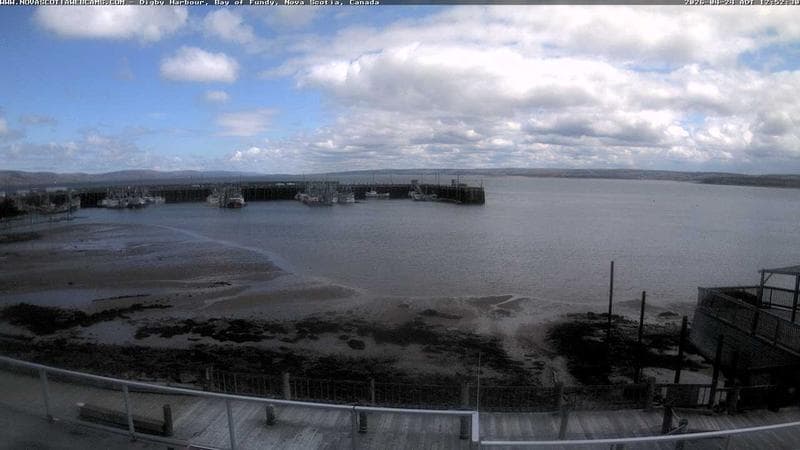 Digby Harbour