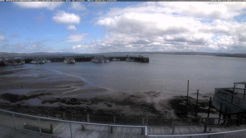 Digby Harbour