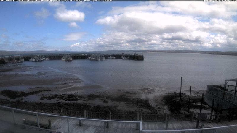 Digby Harbour