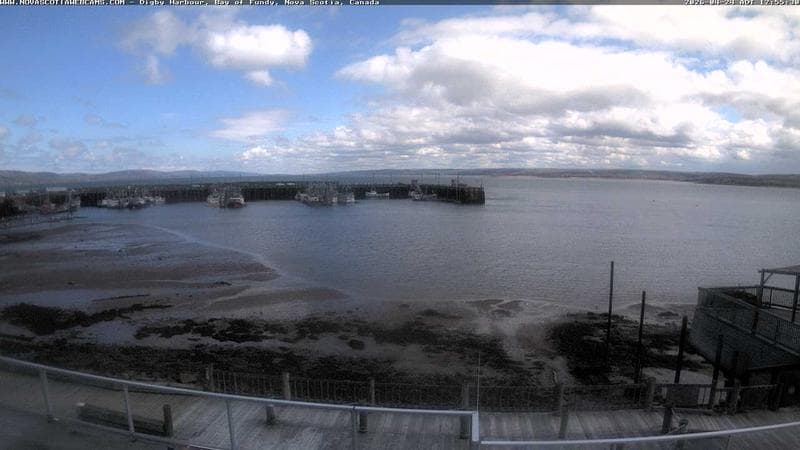 Digby Harbour